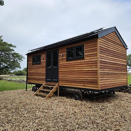 Woodland Shephards Hut - 'Aristocrat' Villa Caernarfon Exterior photo