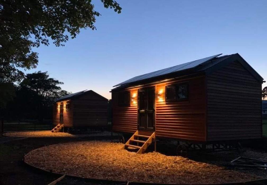 Woodland Shephards Hut - 'Aristocrat' Villa Caernarfon Exterior photo